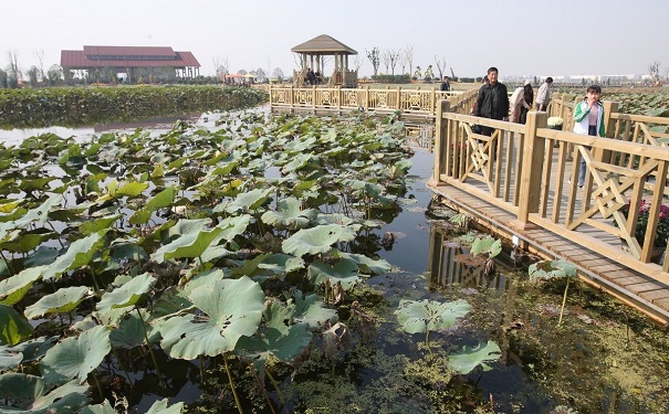 高新企業申報,相城區高新企業申報