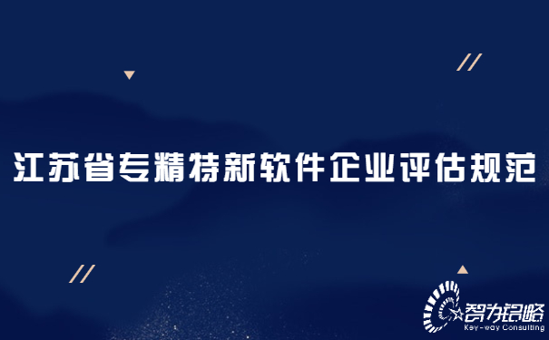 1655707946200143.jpg 江蘇省專精特新軟件企業評估規范.jpg