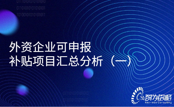 外資企業可申報補貼項目匯總分析（一）