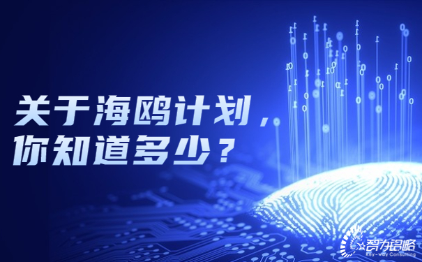 1661480190125552.jpg 關(guān)于海鷗計(jì)劃,你知道多少?.jpg