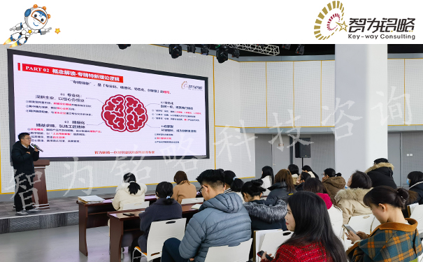 智為銘略受邀主講專精特新企業(yè)申報實務指導專題培訓會