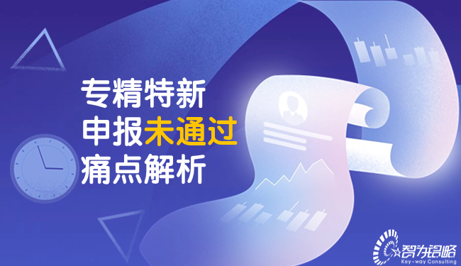 1703212048288243.jpg 專精特新申報未通過痛點解析.jpg