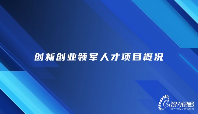 創新創業領軍人才項目概況