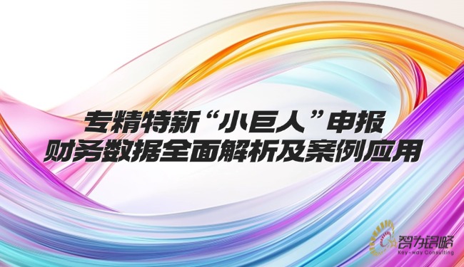 1744599310132726.jpg 專精特新“小巨人”申報(bào)財(cái)務(wù)數(shù)據(jù)全面解析及案例應(yīng)用.jpg