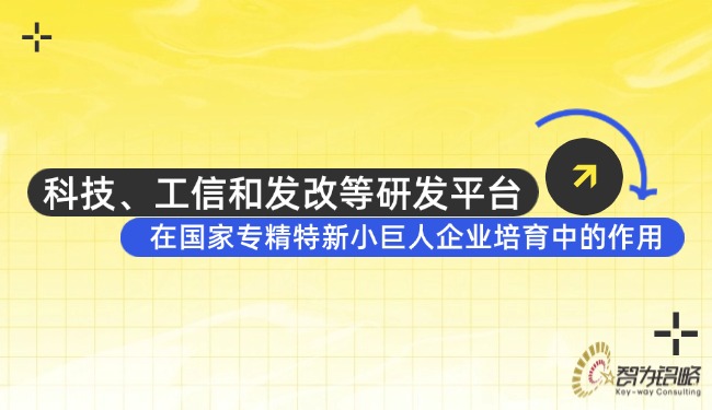 科技、工信和發改等研發平臺在國家專精特新小巨人企業培育中的作用.jpg