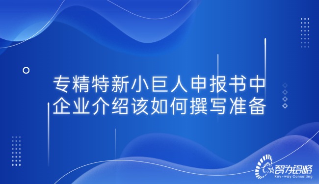1747789838155955.jpg 專精特新小巨人申報書中的企業介紹該如何撰寫準備.jpg
