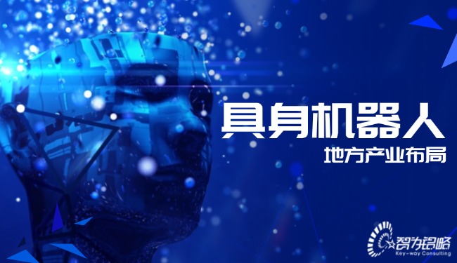 具身機器人地方產業布局