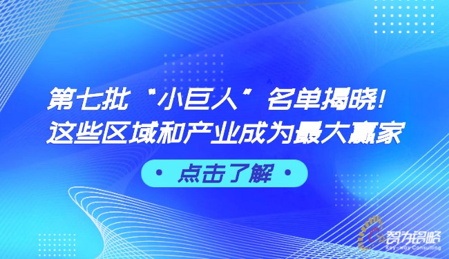 1762309020211217.jpg *七批“小巨人”名單揭曉!這些區(qū)域和產(chǎn)業(yè)成為*大贏家.jpg