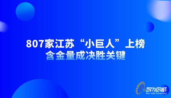 1762739978705868.jpg 807家江蘇“小巨人”上榜,含金量成決勝關(guān)鍵.jpg